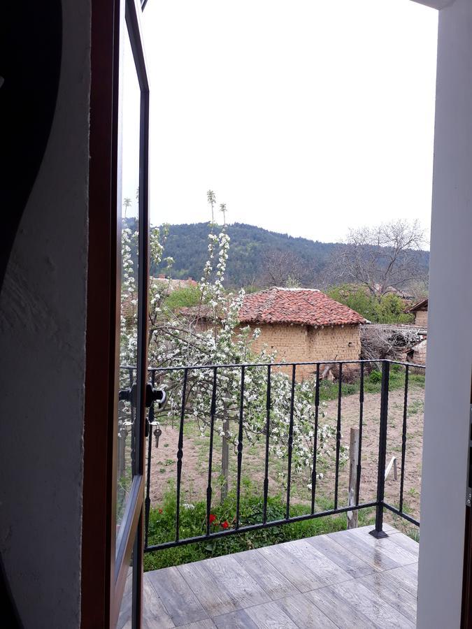 Popovi Koshari Guest House Dolno Panicherevo Esterno foto